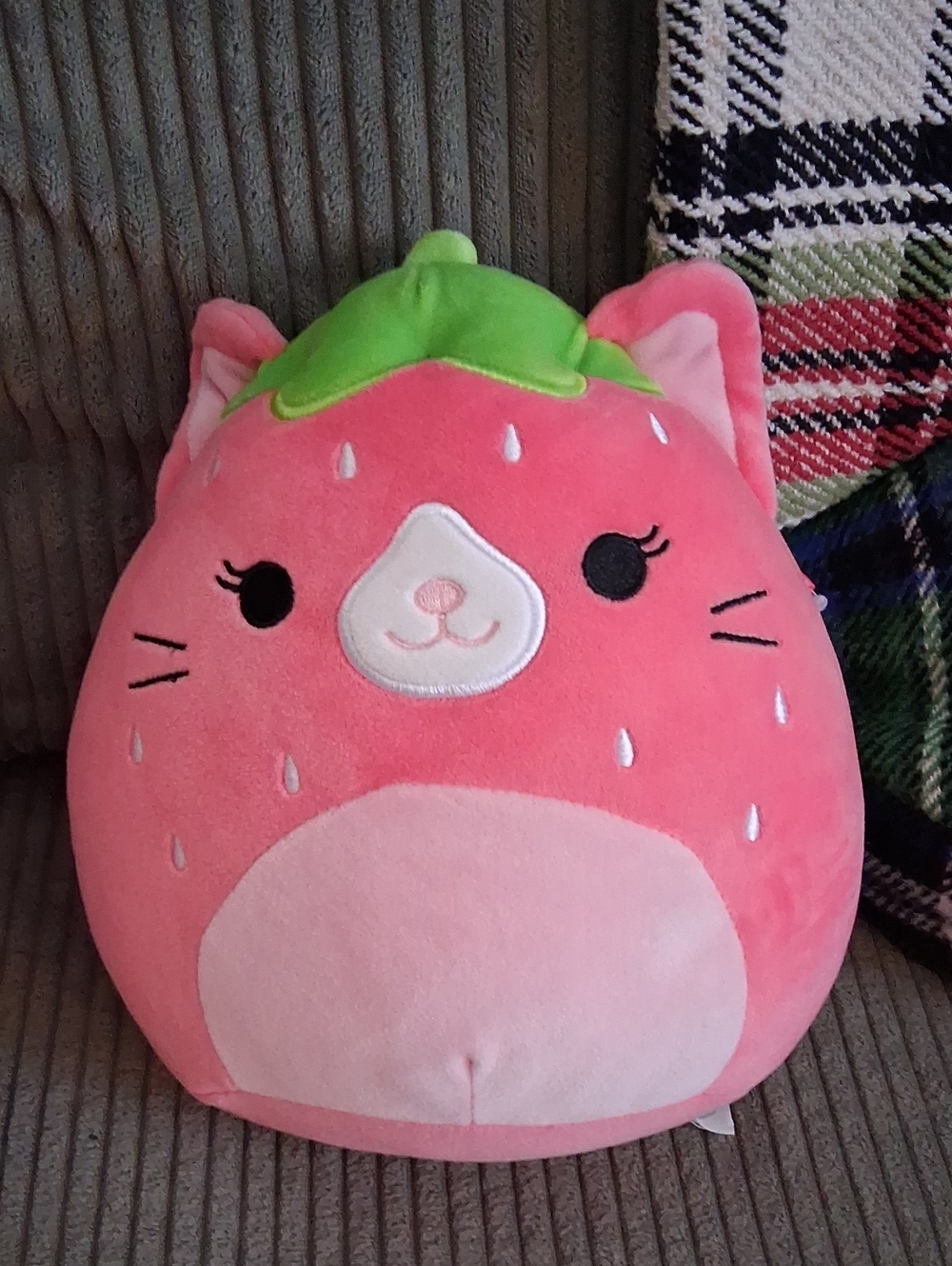 Squishmallows Pink Strawberry Cat Squishmallow "Olma" NWTs!
